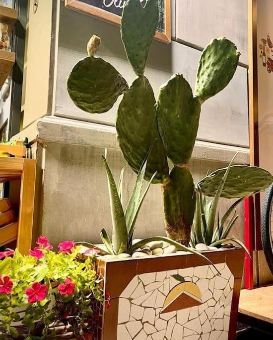 דירות פלרמו La Casa Di Eva מראה חיצוני תמונה